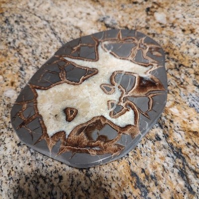 Vintage SEPTARIAN Nodule Slab Mineral With a Lightning Like Pattern
