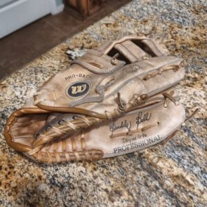 Wilson Buddy Bell Baseball Glove Pro-Back A2215 RHT